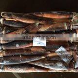 Frozen Argentina Squid Raw Material thumbnail-2