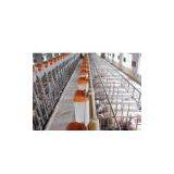 Pig Gestation Unit thumbnail-1