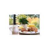 Carboxy Methyl Cellulose Manufacturer thumbnail-1