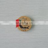 custom zayed logo and national flag lapel pin for souvenir