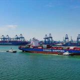 Tianjin To NHAVA SHEVA Transport (20GP/40GP/40HC/Special Container ) CIF thumbnail-1