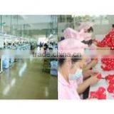 Yangzhou Dadong Craft Co., Ltd. company overview - view 2 thumbnail