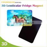 3D Design PET Souvenir Fridge Magnet With Cheap Price