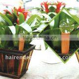 Watering Tools thumbnail-1