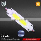 CE ROHS Listed Advertising Light Source IP65 Waterproof COB 2W Led Module Injection Module
