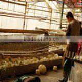 Rongchang Yesm Autumn Cultrual Development Co., Ltd. company overview - view 2 thumbnail