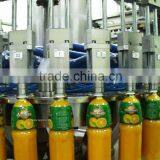 Fruit Juice Making Machine Manufacturer thumbnail-4