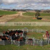 Hot Dipped Galvanised 2.1m*1.8m Steel Ovel Tube Portable Cattle Panels Hot Sale