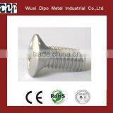 DIN966 Stainless Steel Csk Head White Wood Screws thumbnail-1