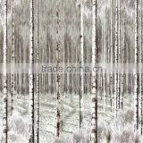 5mm Tempered Ceramic Frit Paint Glass thumbnail-6