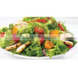 Best Selling Kitchen Tool Sporks Salad Spinner Plastic Salad Hands thumbnail-6