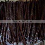 Good Quality Premium Vanilla Beans for Sale thumbnail-1