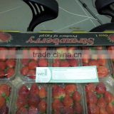 Strawberry high quality