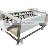 GL-380 Full Automatic Potato Vegetable and Fruit Washing and Peeling Machine thumbnail-1