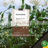 Phosphorus (P) Humate Granule