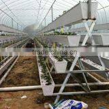 Hydroponic Vertical System for Lettuce thumbnail-3