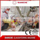 Halal Poultry Chicken Processing Equipment thumbnail-4