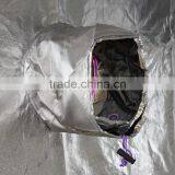 48*48 4*4 Indoor Mini Gorilla Grow Tent thumbnail-4