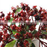 Christmas Table Decor Plastic Pomegranate Decorative Artificial Flower Making thumbnail-1