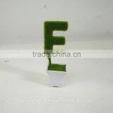Mini Bonsai Artificial Letters Grass for Decoratrion thumbnail-5