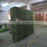 CHY040817 Plastic Garden Green Wall Garden Decoration Grass Wall thumbnail-1