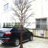 Q012707 Dry Tree for Decoration Table Centerpiece Tree Decoration Artificial Dry Tree thumbnail-2