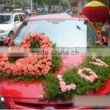 FOAM FRAMES Of Open Heart thumbnail-5