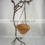 metal tree with hanging plant holder