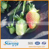 Woven Agriculture Fabric