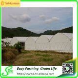 Polycarbonate Greenhouse thumbnail-1