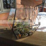 Simple Clear Glass Planter Terrarium thumbnail-3