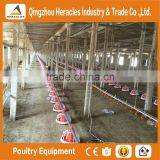 Heracles High Quality Cheap Poultry Chicken Poultry Farm Equipment for Sale thumbnail-4
