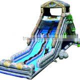 Inflatable Water and Dry Slide, Inflatable Bouncy Slide,High Quality Castle Inflatable Slide thumbnail-6