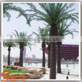 Hot Sale Fake Decoration Wood Palm Tree Names Miniature Plastic Palm Tree Decoration Palm Tree
