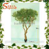 Songtao Supplier Artificial Ficus Tree Home Decoration Artificial Ficus Tree thumbnail-3