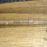 Reed Screen in Roll thumbnail-3