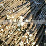 Willow Sticks thumbnail-5