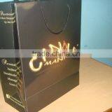 Paper Bags for Brand Promotion / Branding Paper Bags thumbnail-4
