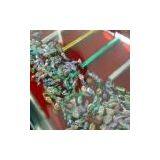 Sell PET Film (China (Mainland)) thumbnail-1