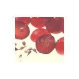 Grape Seed Extract 95% OPC(rossonl@huacheng-biotech.com) thumbnail-2