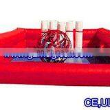 Hot-selling Inflatable Bowling Lane