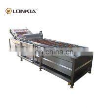 Automatic Fruit and Vegetable Washing Machine Auto Fruits Vegetables Herbs Bubble Cleaning Line Machines Cheap Price for Sale thumbnail-3