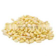 Byloo Low Moq Wholesale China Cheap Bulk Factory Price 950 Counts Kernel Pine Nuts Kernel Without Shell thumbnail-3