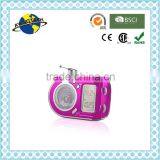 Travelling Portable Multiband Radio thumbnail-4