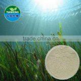 Pure Natural Seaweed Extract /fucoidin Laminaran Algin