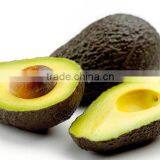 HASS AVOCADO FRESH FRUIT