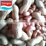 peanut kernel in china
