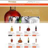 Offshore Web Development Service Provider thumbnail-1