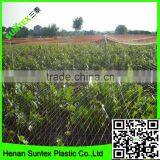 High Quality 100% Virgin HDPE Grape Anti Bird Control Netting for Sale thumbnail-2