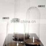 Glass Domes Bell Jars thumbnail-2